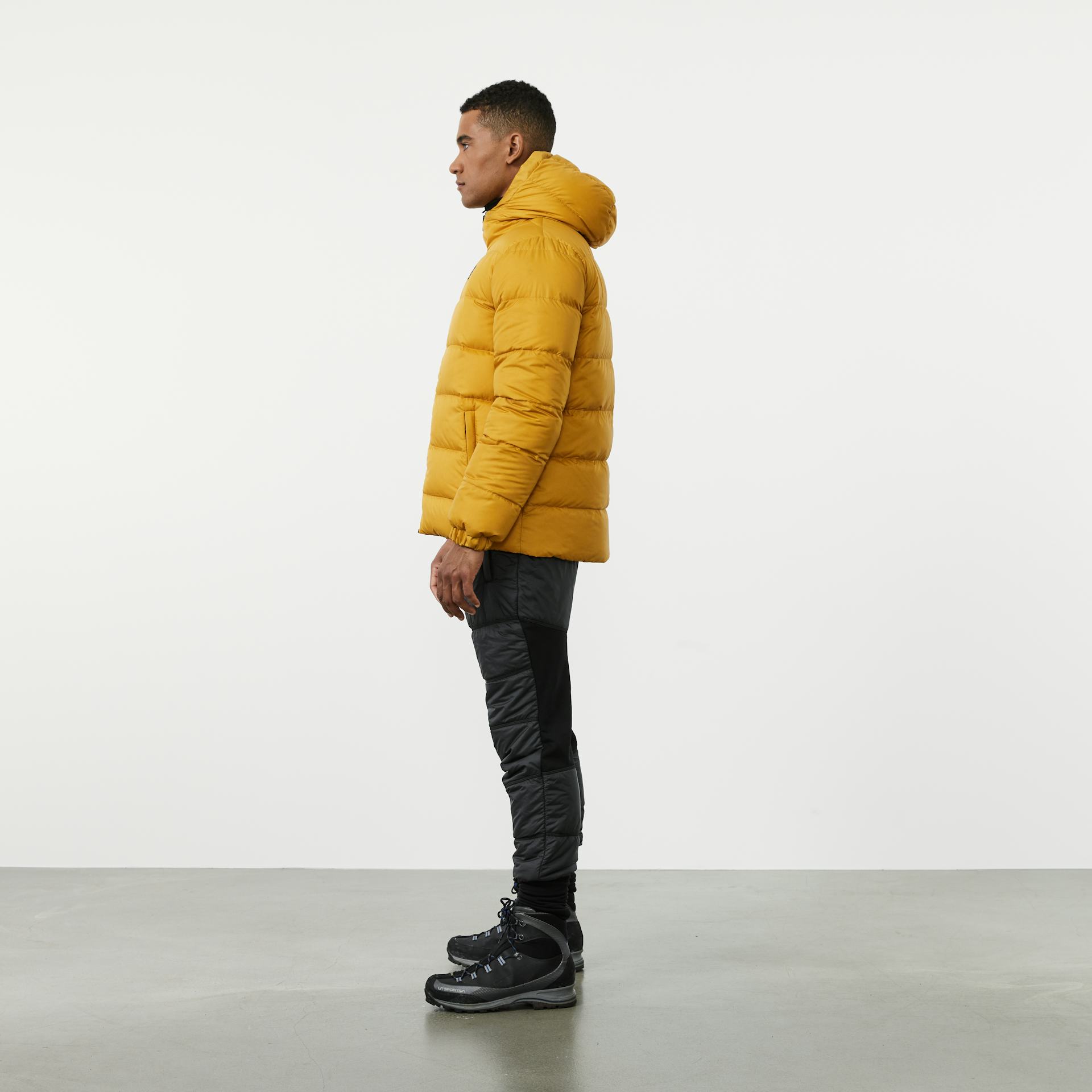 Oddi Yellow Moss
