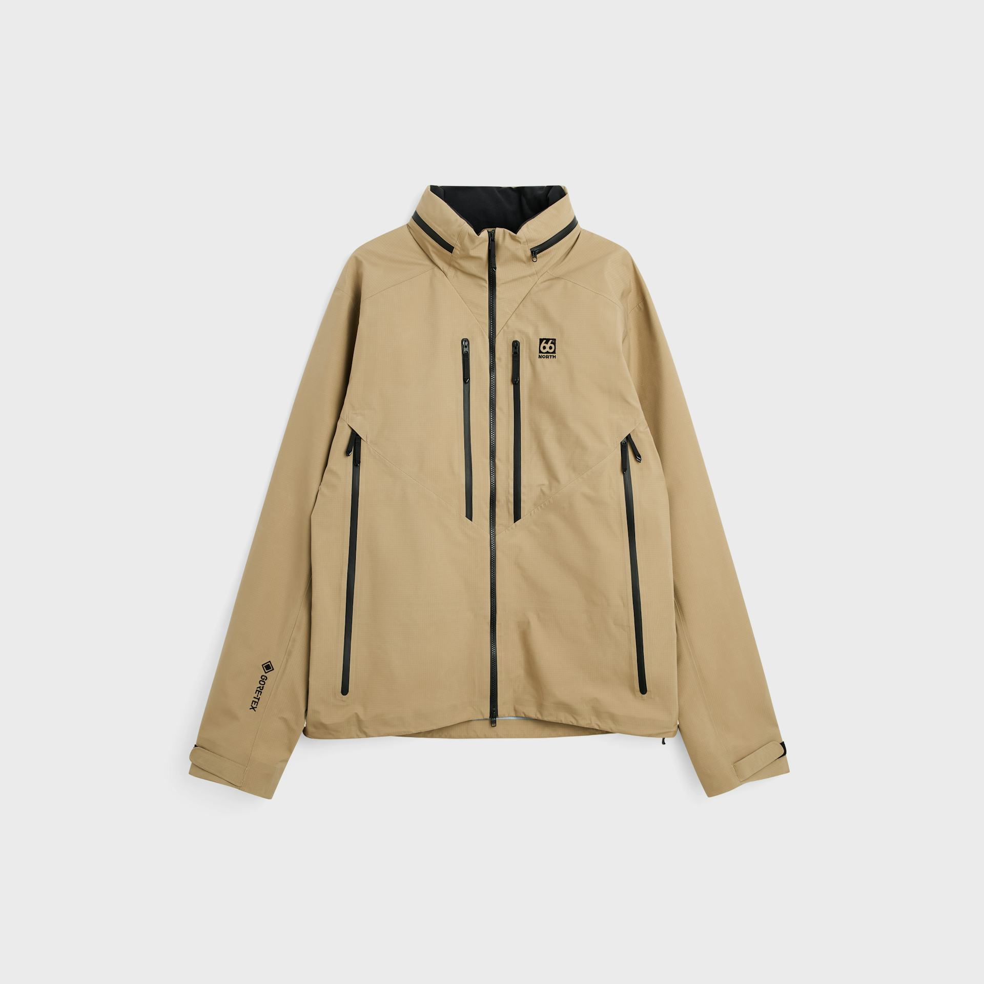 Ljósufjöll Brown Birch Bolete